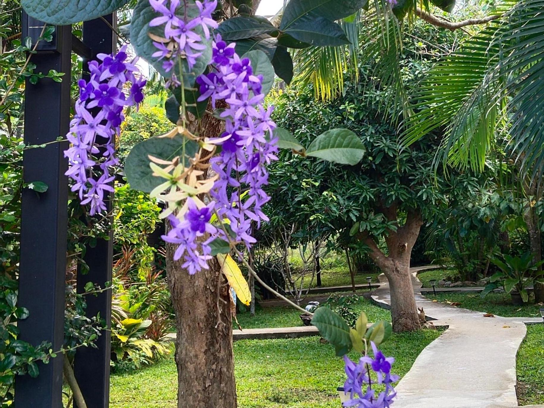 Bang Po Hut Hotel Ban Bang Po Buitenkant foto